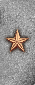 Star Copper-Silver